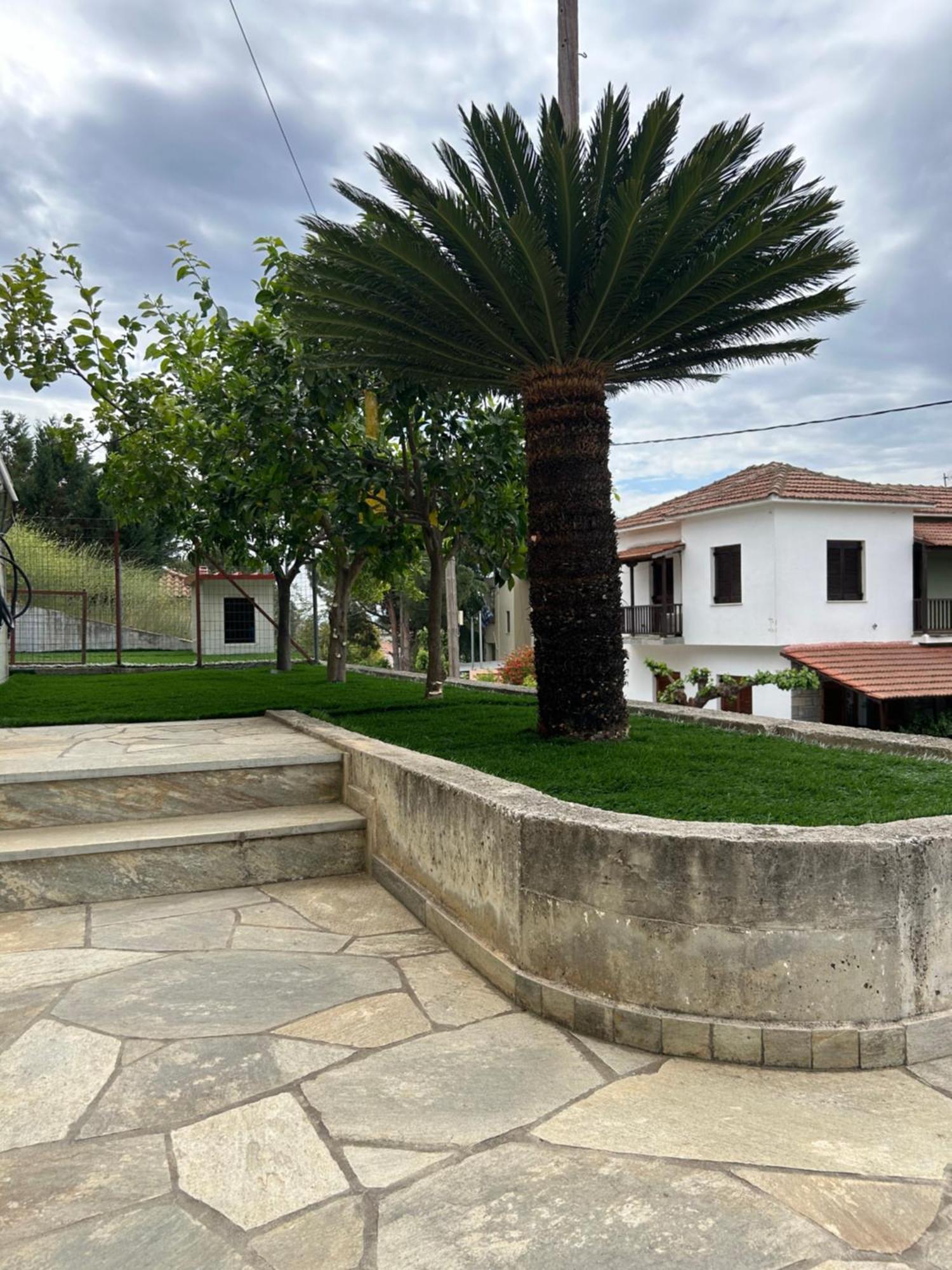 Athena'S Luxury Place Agria Exterior foto